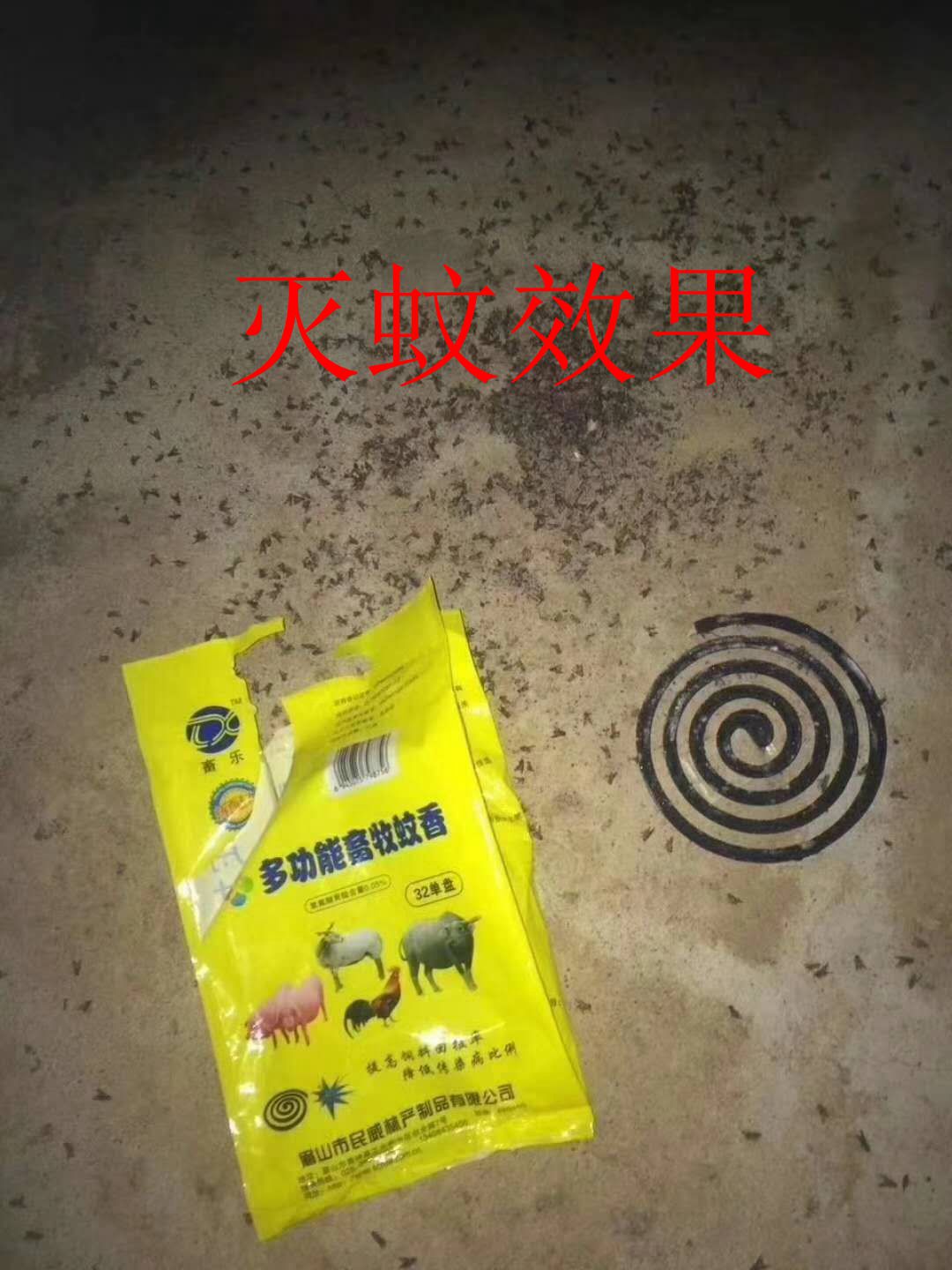微信圖片_20200704093801.jpg